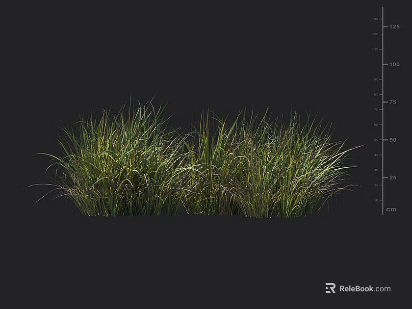 Lush Green Grass Clumps Against Dark Background With Height Measurement Scale 3d model 