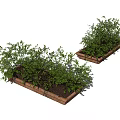 Lush Green Plants In Brown Rectangular Planters With Healthy Leaves 3d model