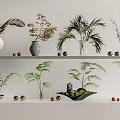 Light Colored Vases with Ferns Palm Twigs and Golden Balls on White Wall Shelf Decoration
