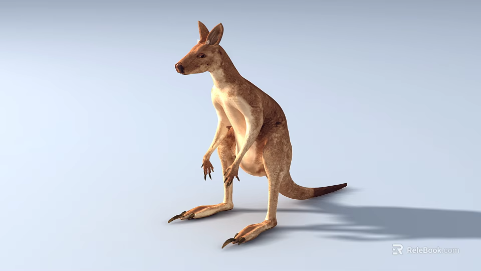 Realistic Reptile 3D Model in Standing Pose with Light Blue Background Shadow 3d model 