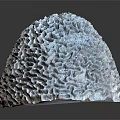 Aquatic Animal Brain Coral Featuring Intricate Patterns and Grayish White Surface in Marine Environment