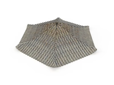 Organ and Hair Structure Model Displaying Umbrella like Slender Strands Arrangement 3d model