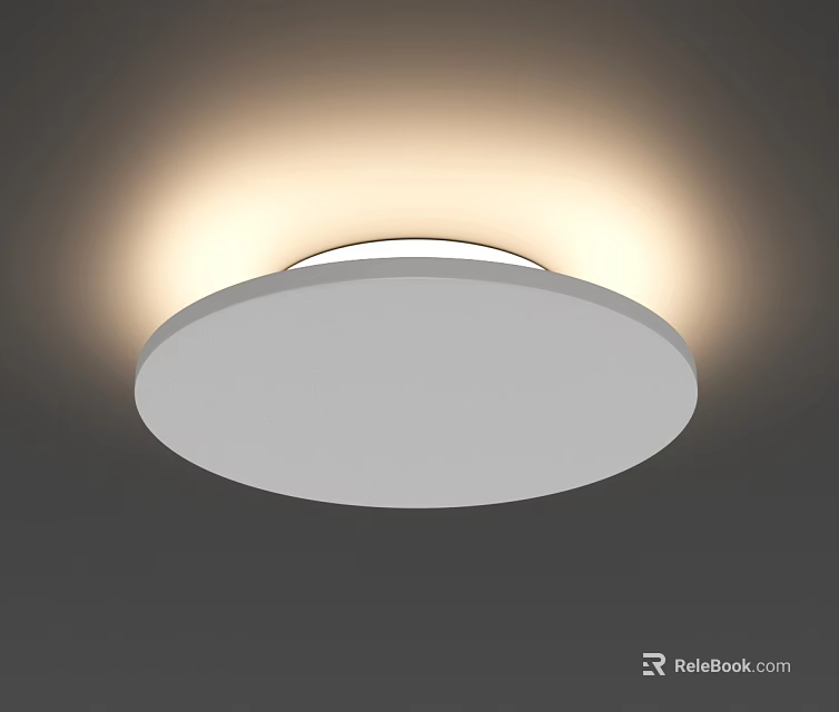 Round White Modern Ceiling Light with Soft Glow for Indoor Home Lighting 3d model