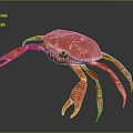 Vibrant Red Crab Aquatic Animal With Detailed Texture And Lifelike Appearance