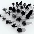 Different Types of Arbor Trees Collection with Shadows on White Background