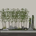 Decorative Bamboo Plants with Natural Rocks Small Lantern and Greenery in Indoor Landscape