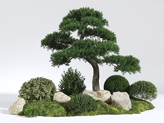 pine shrub combination 3d model