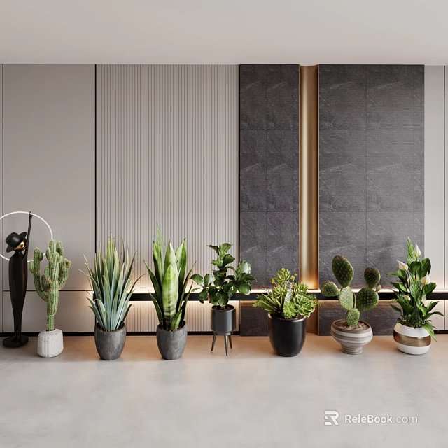 Various Types Of Indoor Potted Plants With Modern Gray Walls And Golden Accents 3d model 