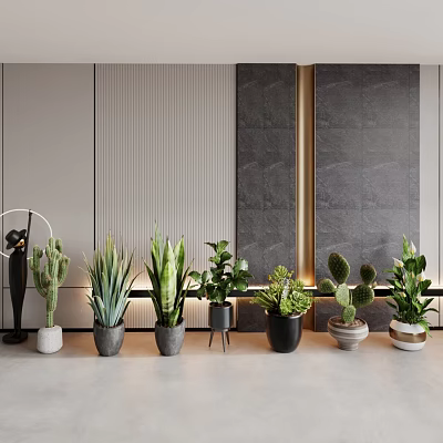 Various Types Of Indoor Potted Plants With Modern Gray Walls And Golden Accents 3d model
