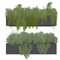 Decorative Bonsai Potted Plants With Layered Hanging Greenery In Black Containers