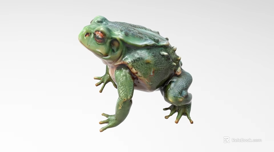 Realistic Green Toad Reptile In Standing Pose With Textured Skin 3d model 