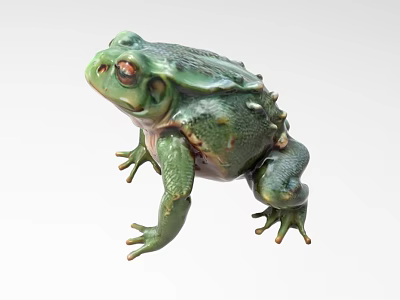 Realistic Green Toad Reptile In Standing Pose With Textured Skin 3d model