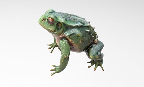 Frog shape 526 3d model