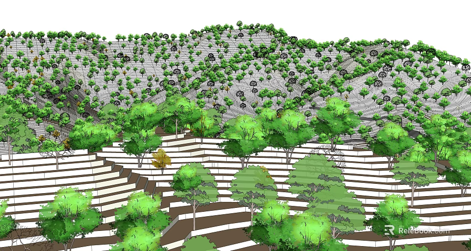 Green Trees Arranged on Terraced Hillside with Lush Vegetation Growth 3d model 