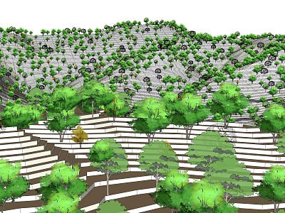 Green Trees Arranged on Terraced Hillside with Lush Vegetation Growth 3d model