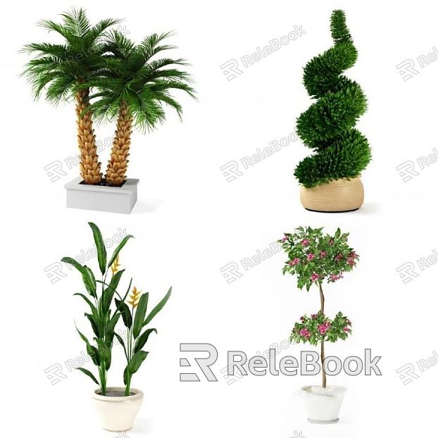 potted plant model