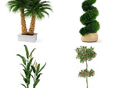 potted plant model