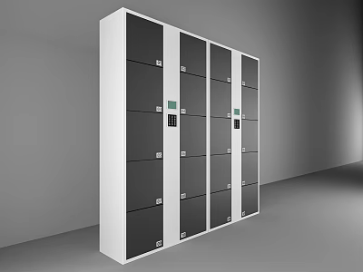 Modern Storage Cabinet Rack With White Frame And Multiple Dark Lockable Doors 3d model