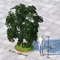 Large Tree With 1.5m Diameter 1.8m Height On Circular Lawn Square Tiled Ground 3d model