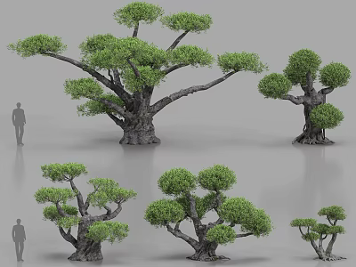 Diverse Plant Combination with Various Shaped and Sized Trees for Landscape Design Decorative Models 3d model