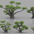 Diverse Plant Combination with Various Shaped and Sized Trees for Landscape Design Decorative Models