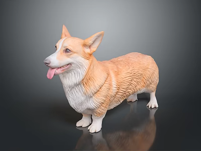 Realistic Corgi Statue With Tongue Out Standing On Reflective Black Surface 3d model