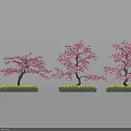Cherry Blossom Themed Desserts With Pink Flower Trees And Green Grass Area
