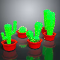 Multiple Green Cactus Plants in Red Pots on Black Background