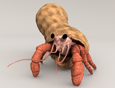 Hermit Crab Marine Life 3d model