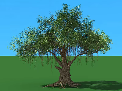 Large Arbor With Lush Foliage Thick Trunk And Aerial Roots Under Blue Sky Green Grassland 3d model