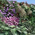 Living Plant Wall With Greenery Purple Red Flowers Deer Sculpture Pebbles And Bamboo