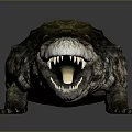 Realistic Crocodile Reptile Model With Detailed Scales Open Mouth And Textured Skin