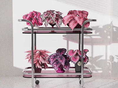 Colorful Potted Plants on Two Tier Metal Trolley with Wheels and Pink Purple Leaves 3d model