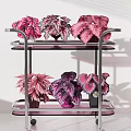 Colorful Potted Plants on Two Tier Metal Trolley with Wheels and Pink Purple Leaves