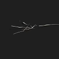 Slender Dry Plant Stems Scattered On Black Background For Botanical 3d model