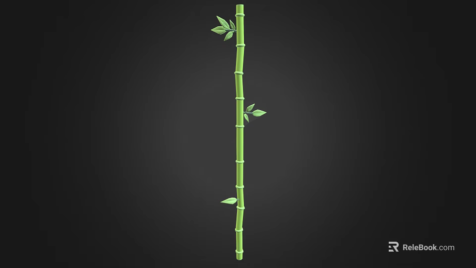 Tall Healthy Green Bamboo Plant with Straight Slender Stalk and Fresh Leaves 3d model 
