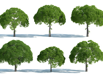 The Modern Tree 3d model