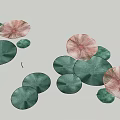 Green Leaves And Pink Flower Like Leaves On Gray Background With Various Sizes 3d model