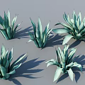Five Green Succulent Potted Plants With Broad Leaves And Gray Background Shadows