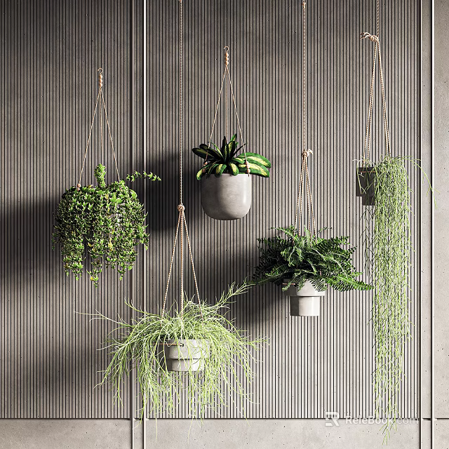Hanging Green Plants With Trailing Foliage In Minimalist Pots For Indoor Wall Decor 3d model 