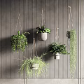 Hanging Green Plants With Trailing Foliage In Minimalist Pots For Indoor Wall Decor