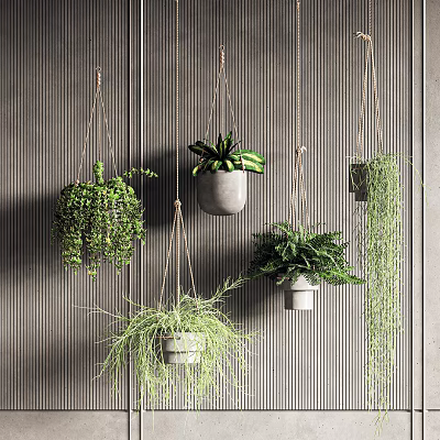 Hanging Green Plants With Trailing Foliage In Minimalist Pots For Indoor Wall Decor 3d model