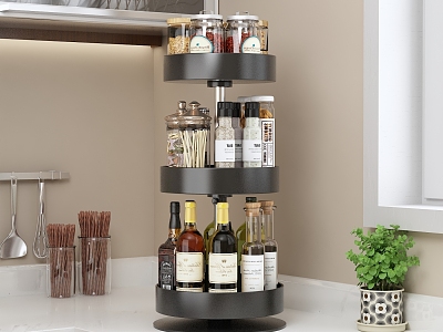 Modern seasoning rack model