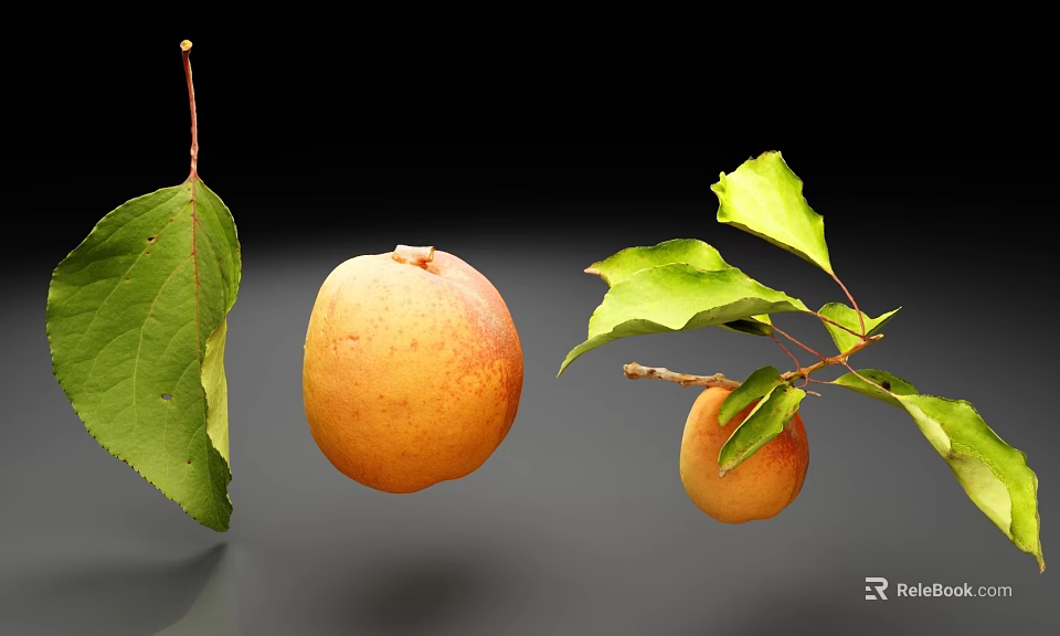 Fresh Ripe Apricot Fruit With Green Leaves And Branch On Black Background 3d model 