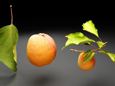 Fresh Ripe Apricot Fruit With Green Leaves And Branch On Black Background 3d model