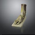 Anatomical Foot Organ Model Showing Muscles Vessels And Hair Structure