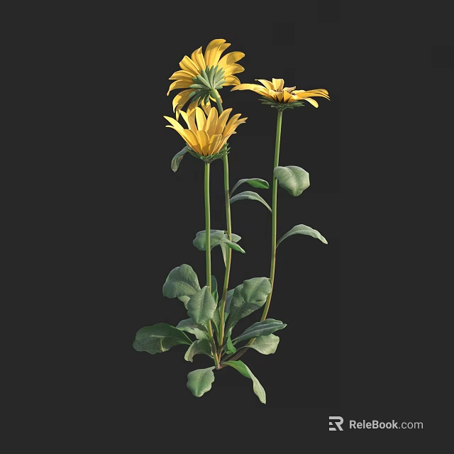 Vibrant Yellow Flowers With Green Leaves And Long Stems In Bloom 3d model 