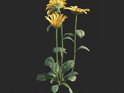 Vibrant Yellow Flowers With Green Leaves And Long Stems In Bloom 3d model