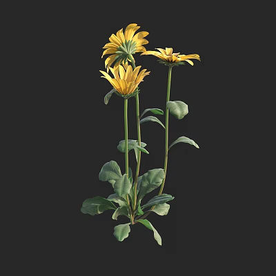 Vibrant Yellow Flowers With Green Leaves And Long Stems In Bloom 3d model
