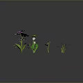 Vibrant Garden Plants With Pink Purple Yellow Flowers Green Leaves And Grass